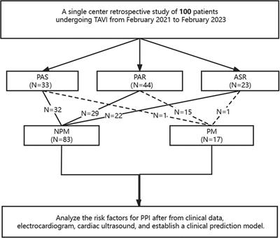 Predictors of permanent pacemaker implantation in aortic valve diseases after TAVI with vitaFlow liberty system